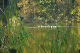 Taktika vnadenia 9